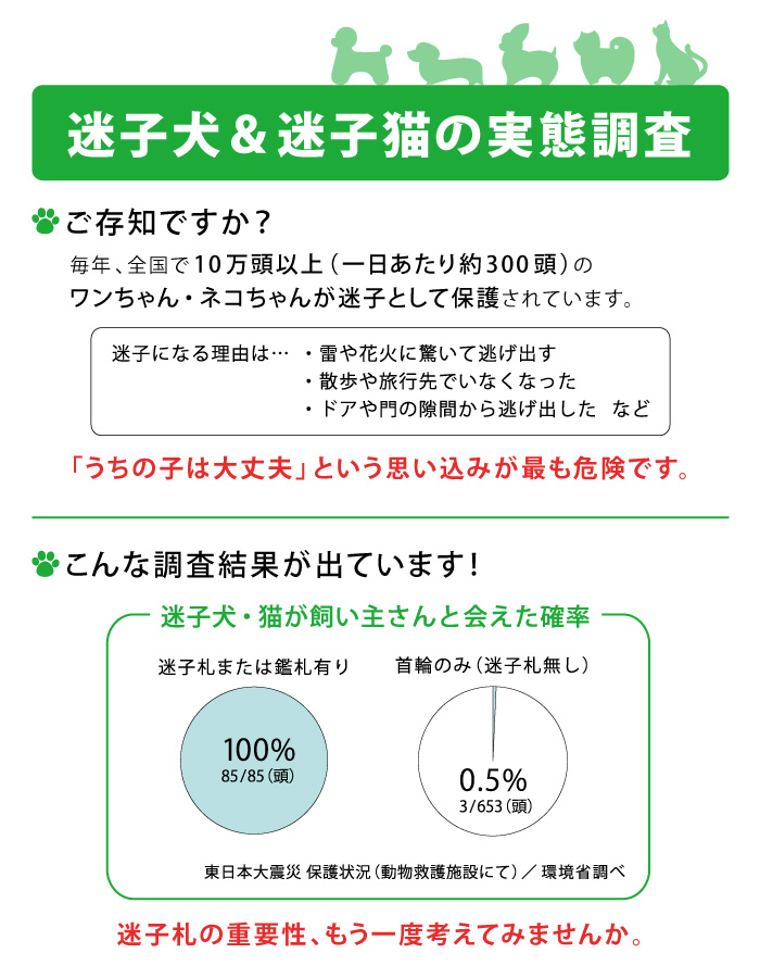 迷子犬＆迷子猫の実態調査